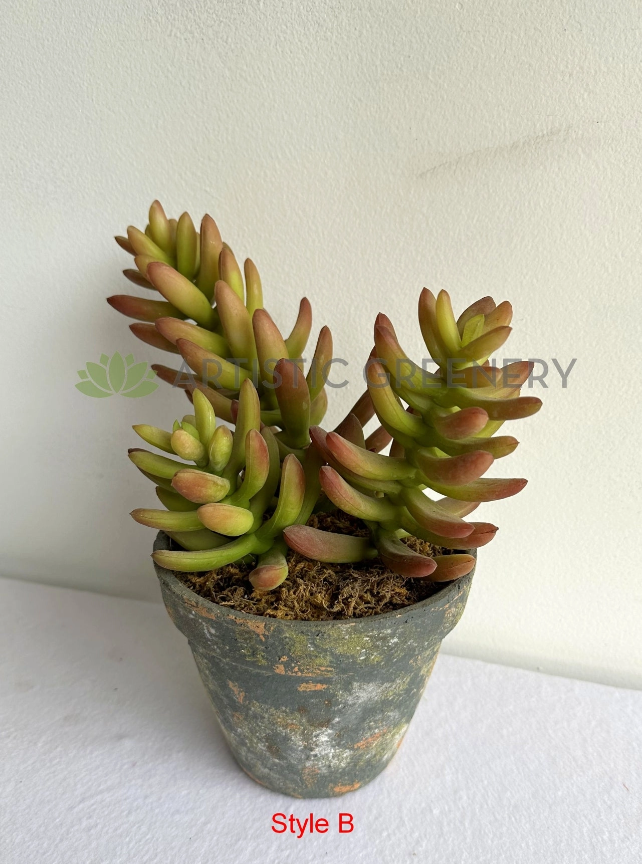 ACC0112 Potted Succulent 4 Styles