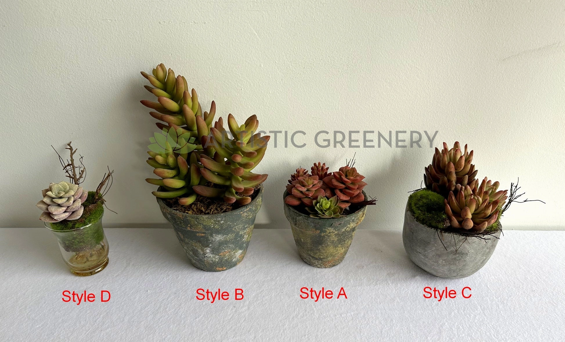 ACC0112 Potted Succulent 4 Styles