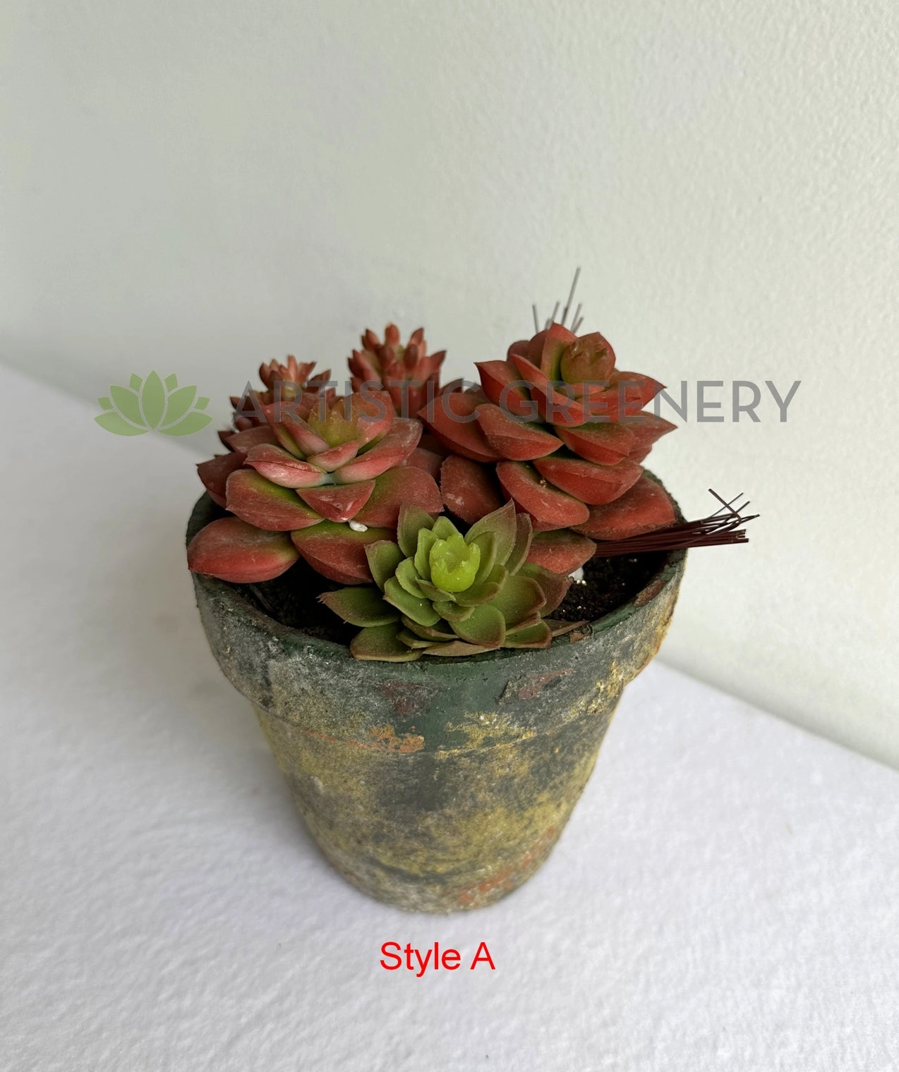 ACC0112 Potted Succulent 4 Styles