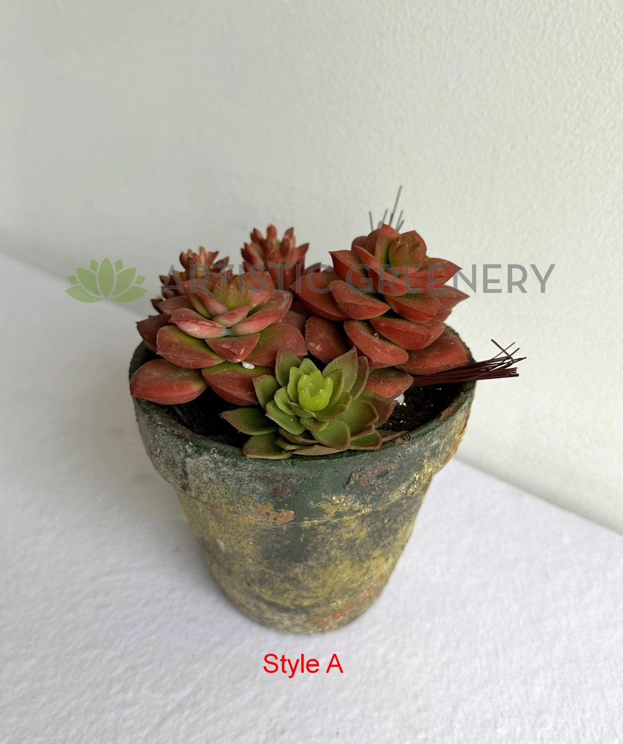 ACC0112 Potted Succulent 4 Styles
