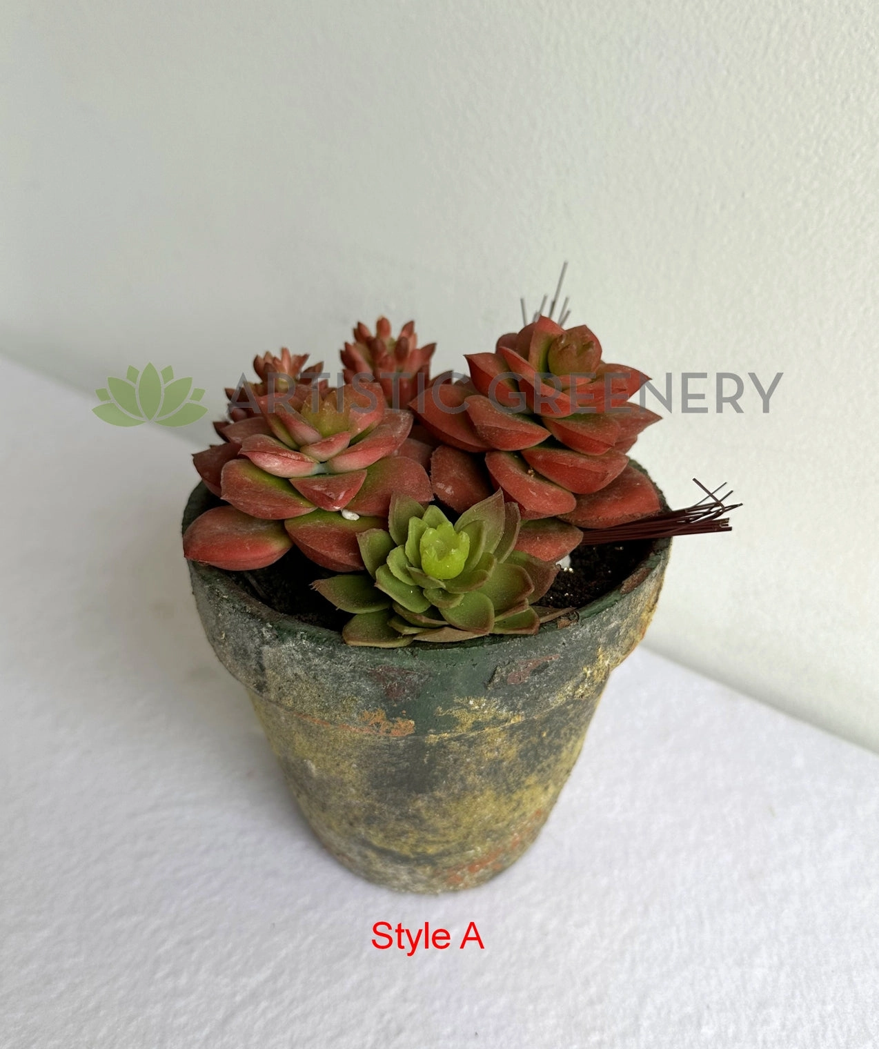 ACC0112 Potted Succulent 4 Styles