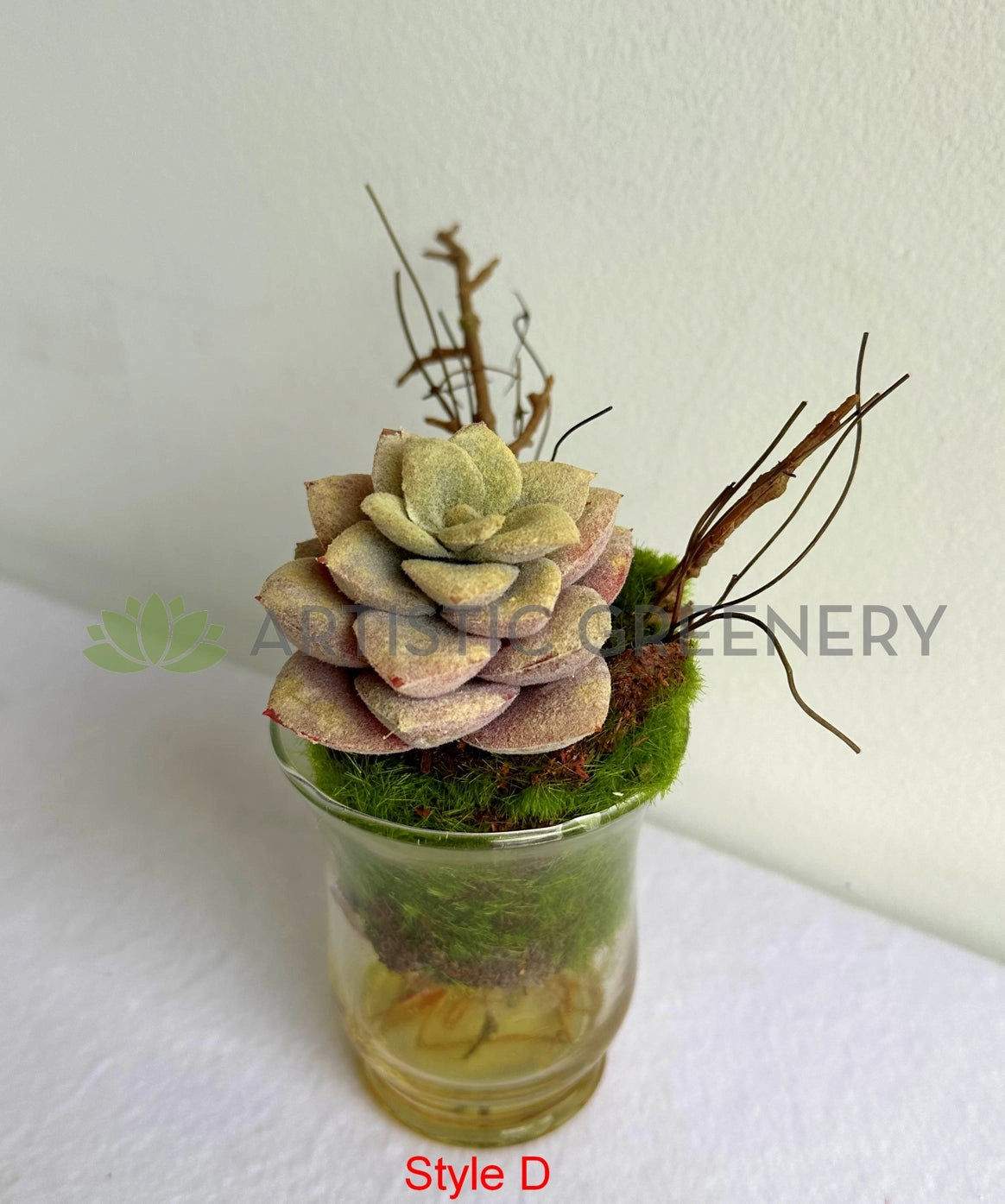 ACC0112 Potted Succulent 4 Styles