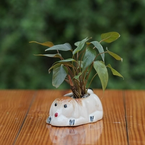 Adorable Dog Shaped Ceramic Planter/ Pot hanging green plant  