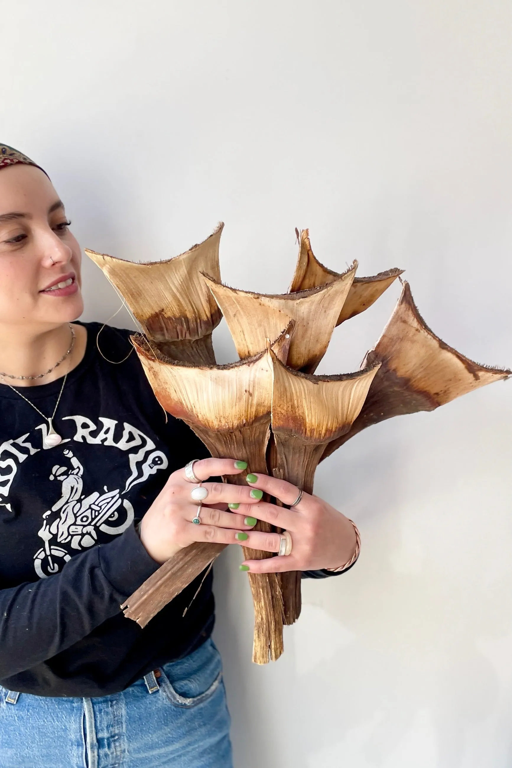 Agave Medio Natural Preserved Bunch