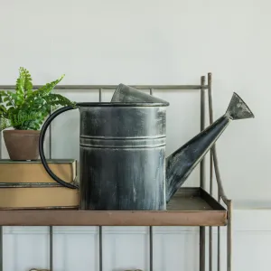 Aged Black Watering Can dried flowers  