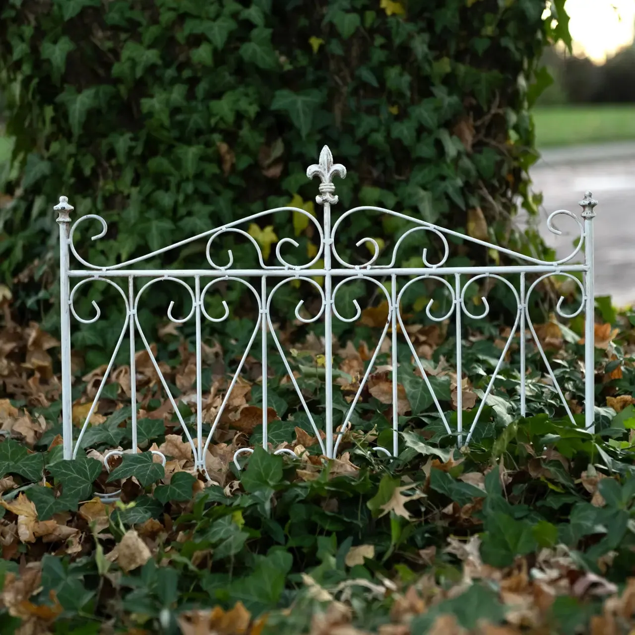 Aged Garden Gate