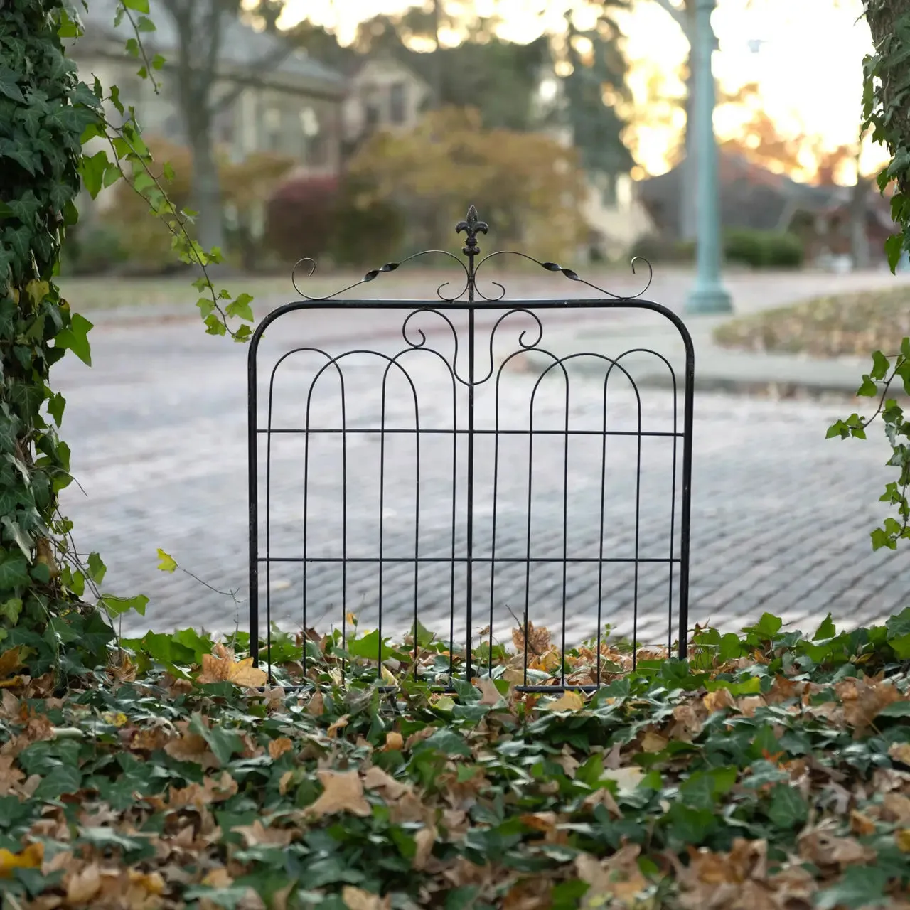 Aged Garden Gate