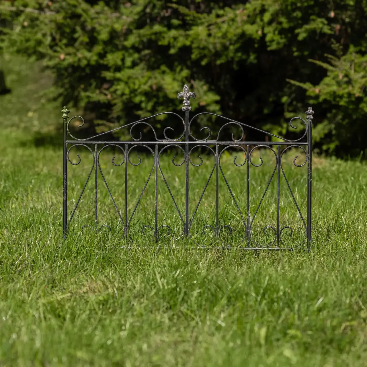 Aged Garden Gate