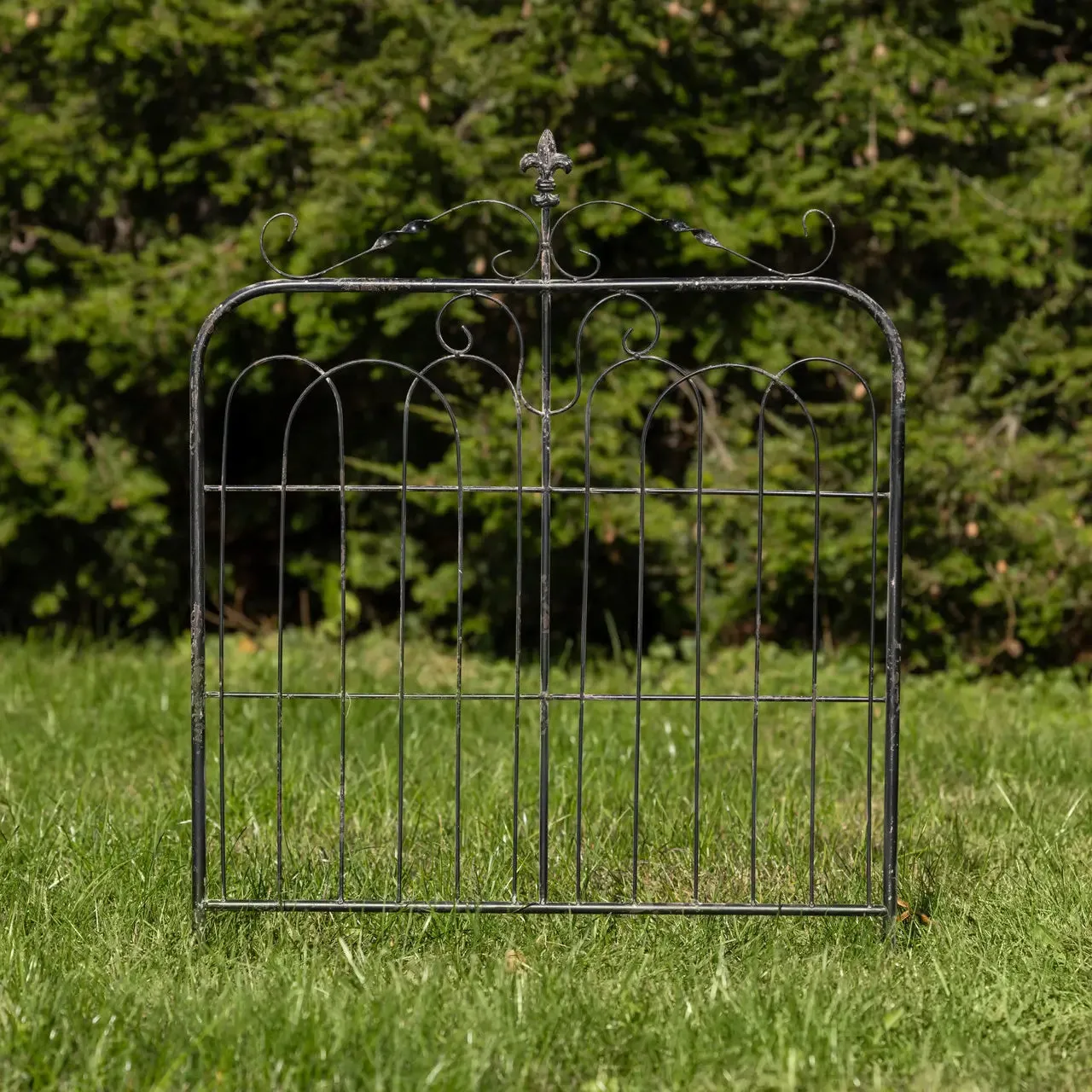 Aged Garden Gate