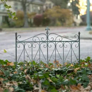 Aged Garden Gate dried flowers  