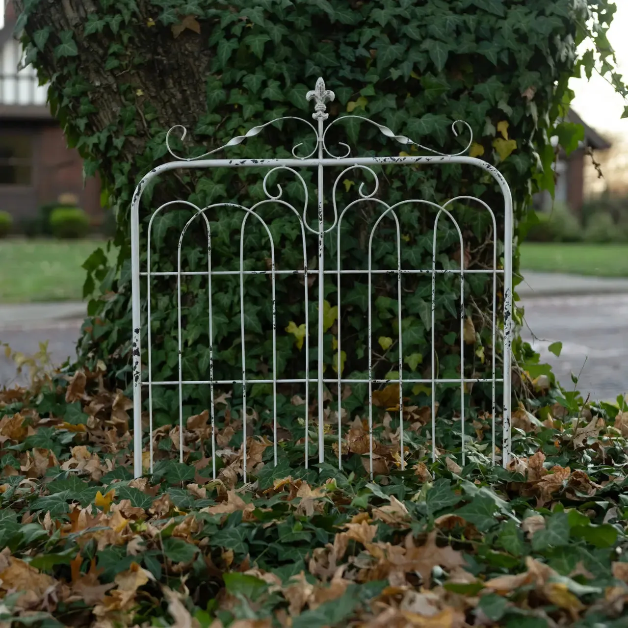 Aged Garden Gate