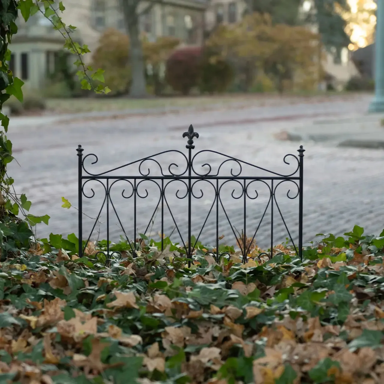 Aged Garden Gate