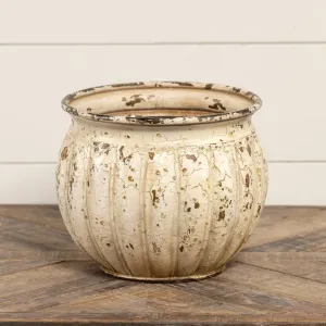 Aged White Planter Pot dried flowers  