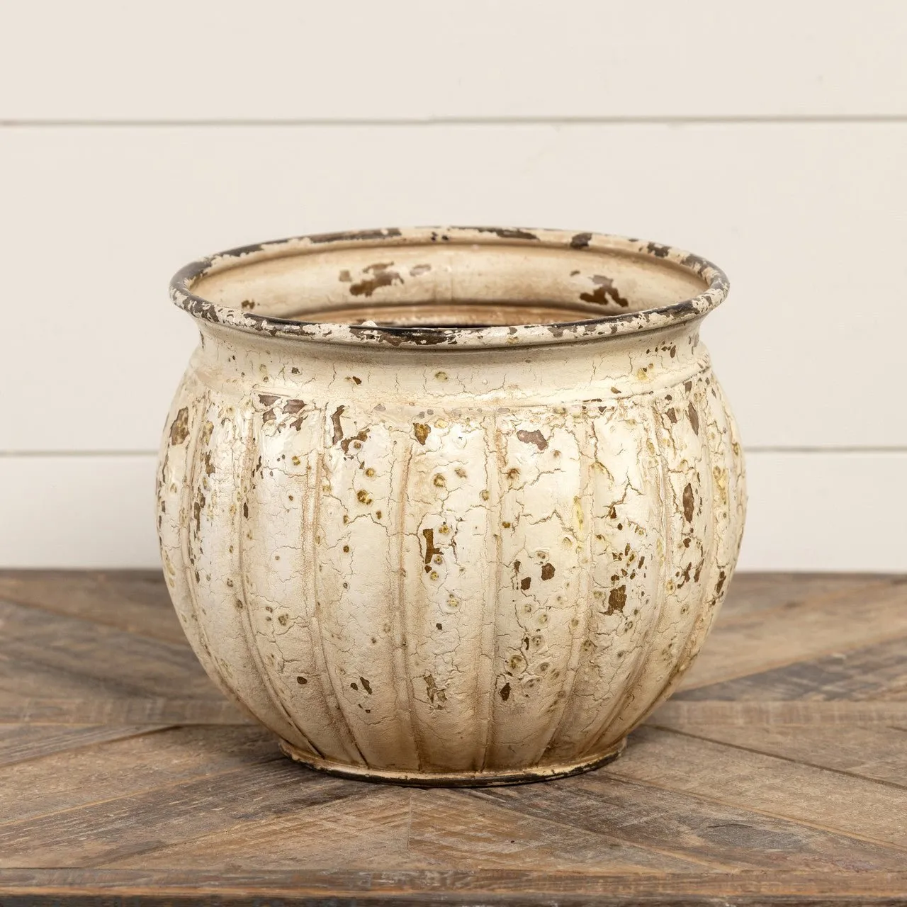 Aged White Planter Pot dried flowers  