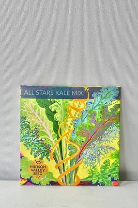 All Stars Kale Mix Art Pack Seeds decorative flowerpot  