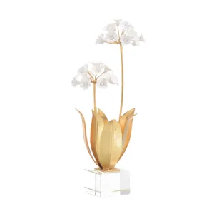 Allium Moly In Porcelain dried flowers  