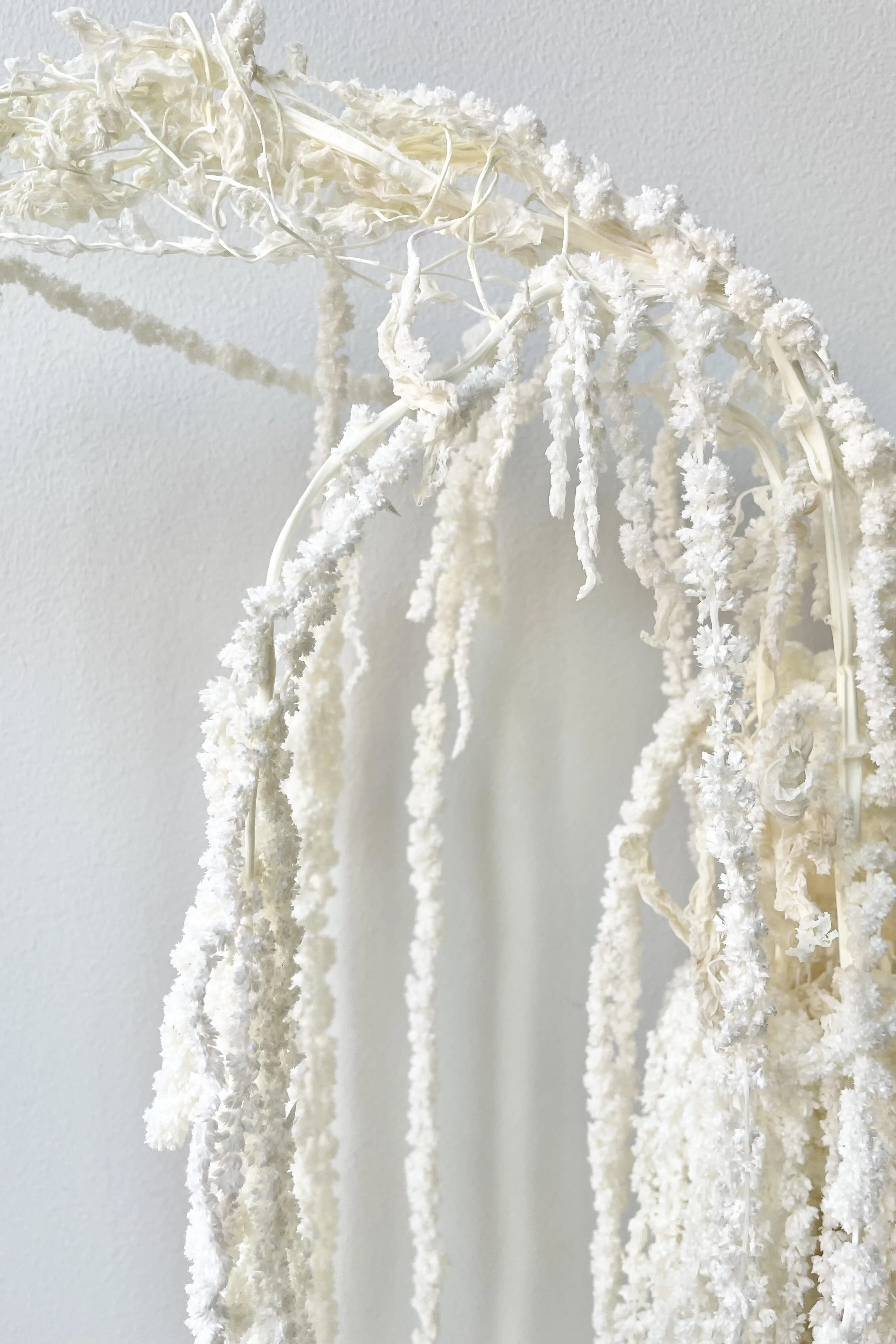 Amaranthus Bleached Pastel Preserved Bunch