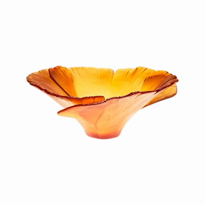 Amber Bowl mini ornamental plant  