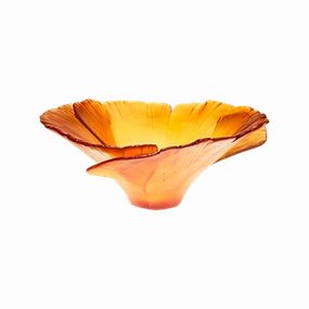 Amber Bowl mini ornamental plant  