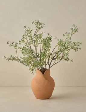 Amelia Vase by dum? mini ornamental plant  