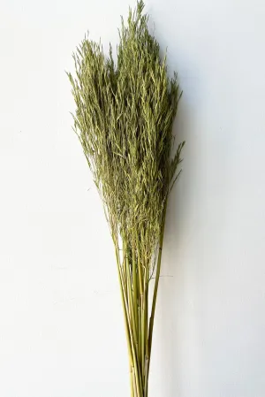 Andre Kise Olive Color Preserved Bunch indoor houseplants  