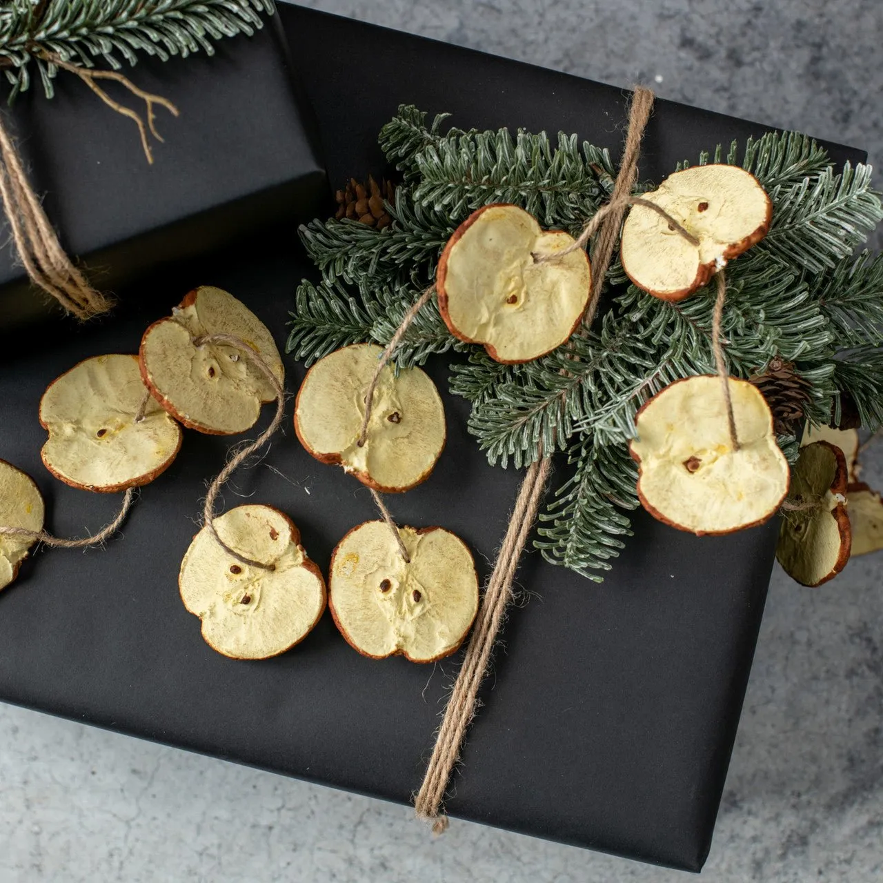 Apple Slice Garland dried flowers  