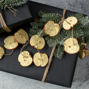 Apple Slice Garland dried flowers  