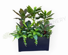 Artificial Mixed Plants in Planter Box 150cm Tall (used as divider) Ref: AOC sun perennial  