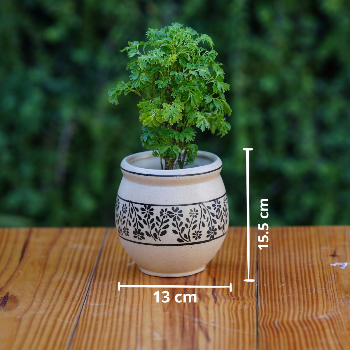 Artisanal Ceramic Planter with Leafy Motif