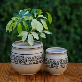 Artisanal Ceramic Planter with Leafy Motif shade perennial  