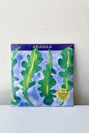 Arugula Art Pack Seeds decorative flowerpot  