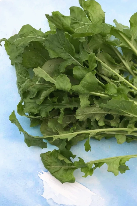 Arugula Art Pack Seeds