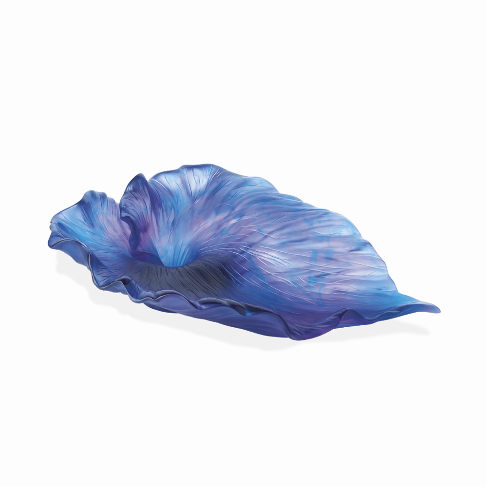 Arum - Dark Blue Bowl mini ornamental plant  