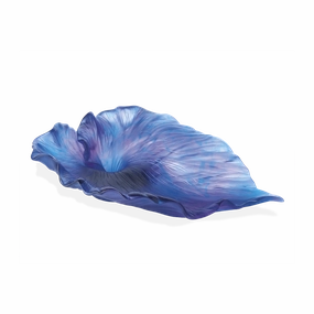 Arum - Dark Blue Bowl mini ornamental plant  