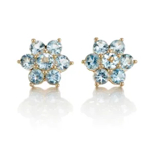 Aurora Earrings in Aquamarines