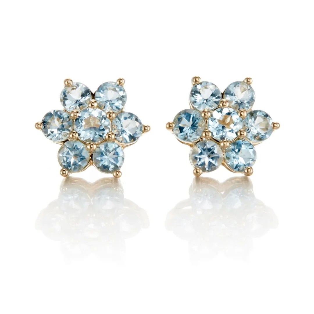 Aurora Earrings in Aquamarines