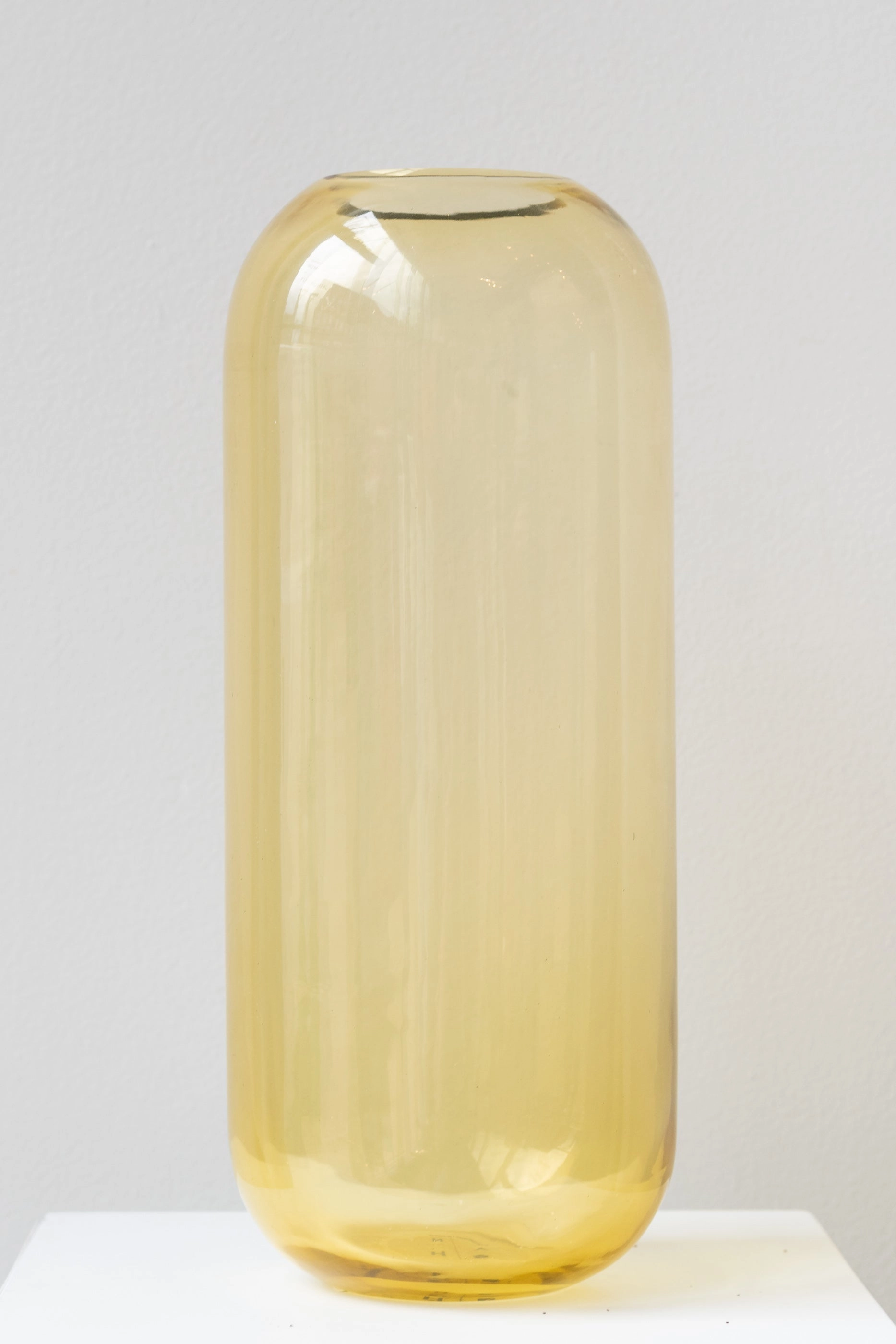 Aurora Pill Vase Amber Large dried green plant  