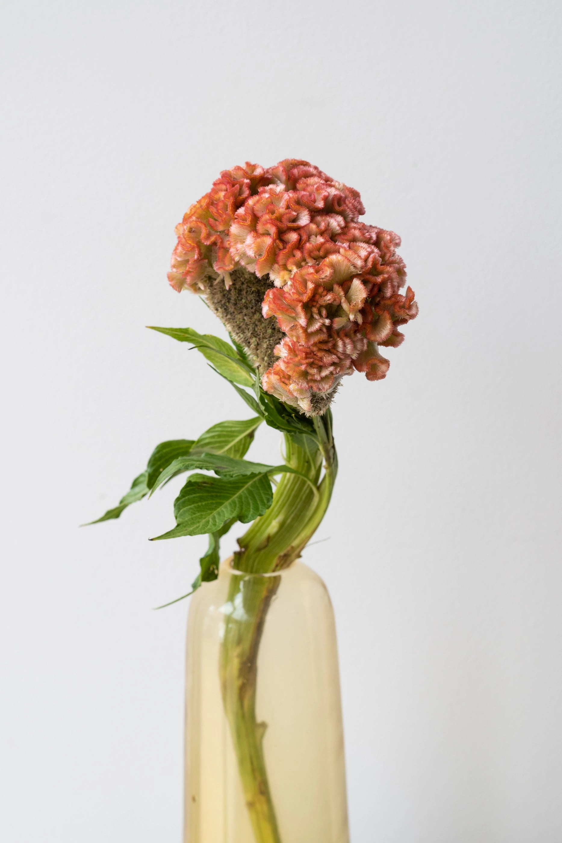 Aurora Pill Vase Amber Small