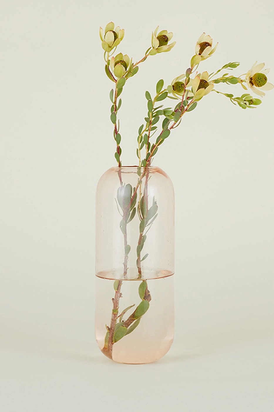 Aurora Pill Vase Blush Large