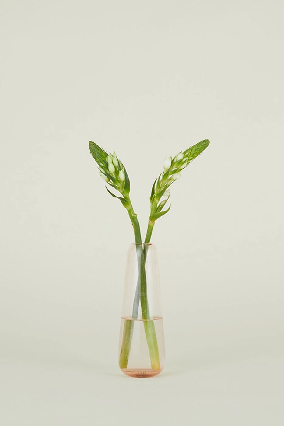 Aurora Slim Drop Vase Blush