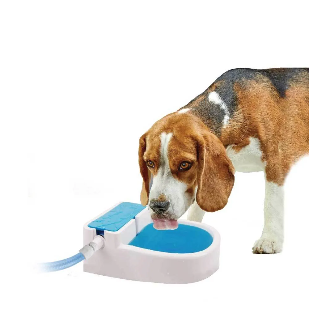 Auto Filling Dog Drinking Water Fountain - Outdoor Automatic Pet Drinking Bowl V238-SUPDZ-28416002523216