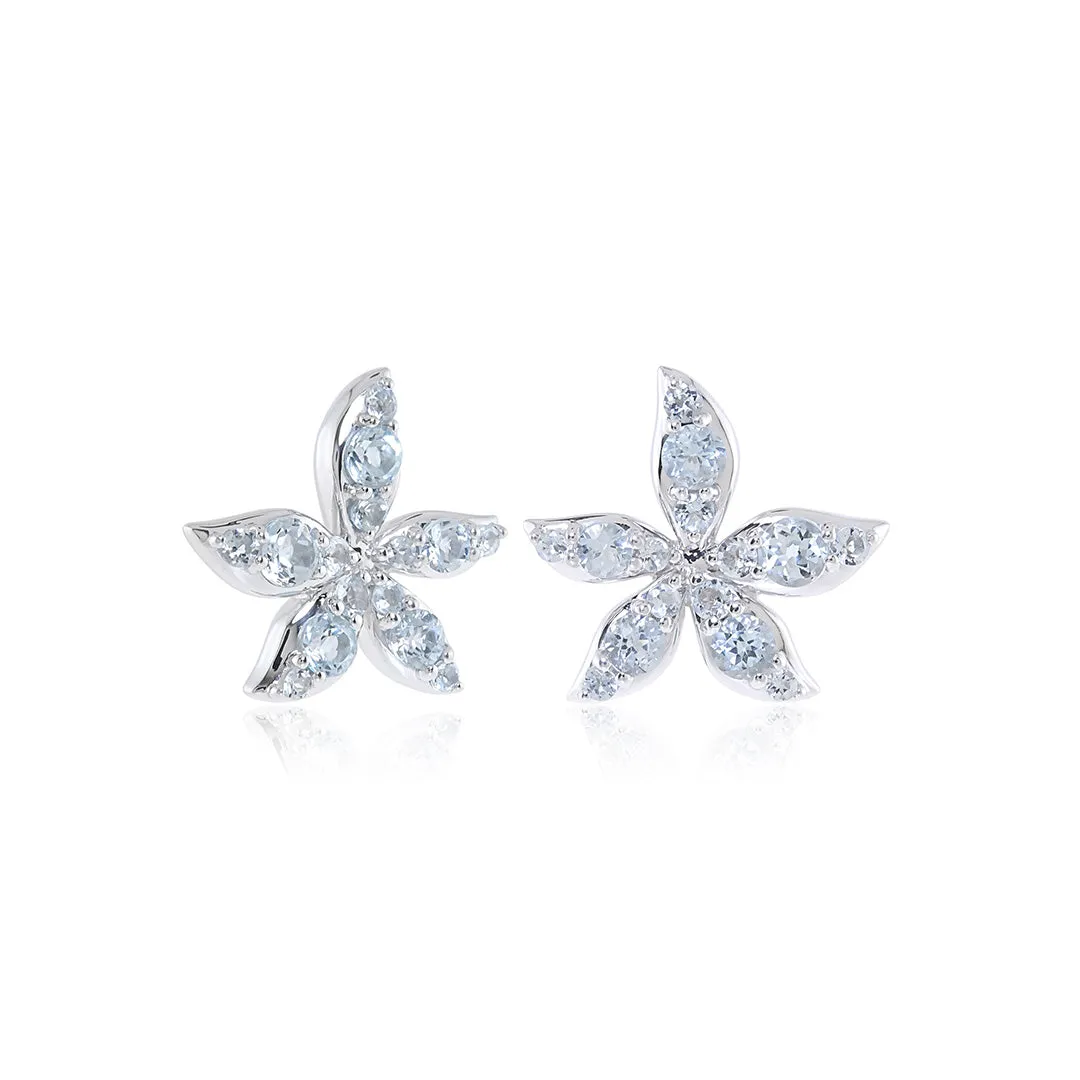 Ava Earrings in Aquamarines