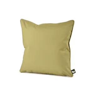 B Cushion - Pistache dried flowers  