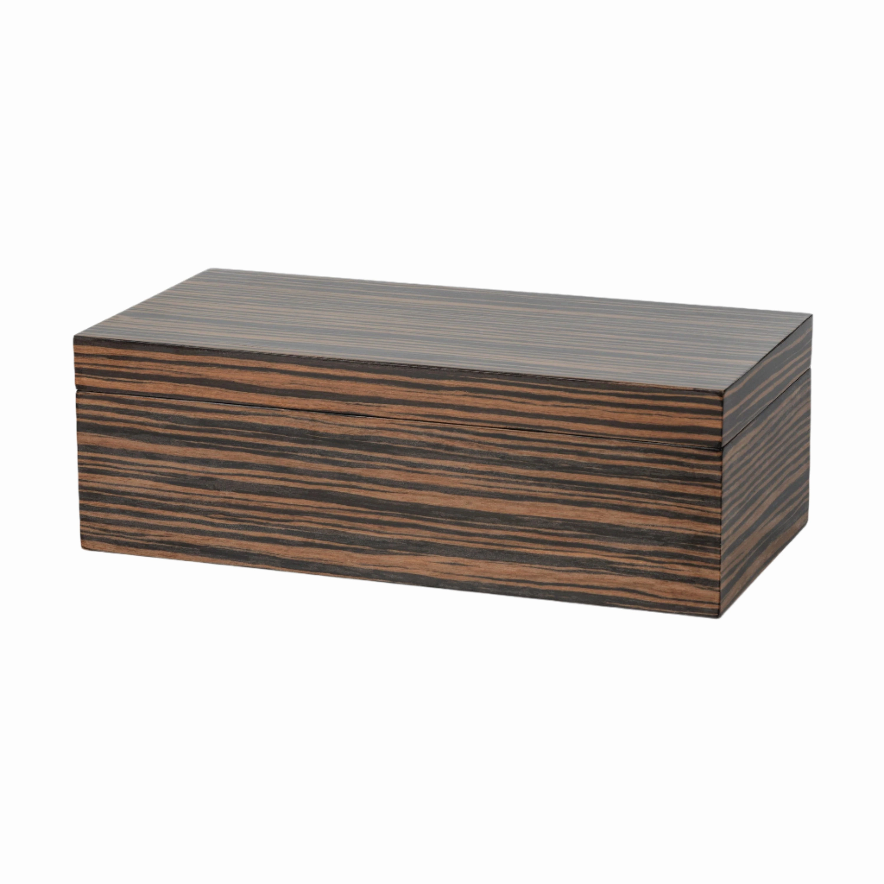 Bambara - Ebony Veneer Large Box mini ornamental plant  