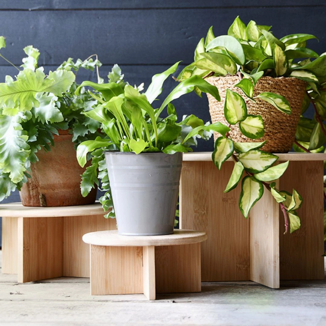 Bamboo indoor Plant Pot Stand Large