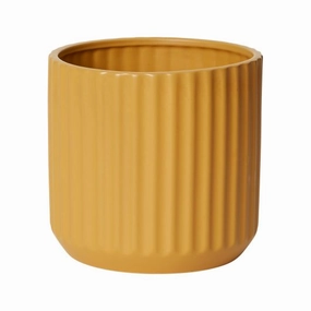 Beam Pot plant seeds  