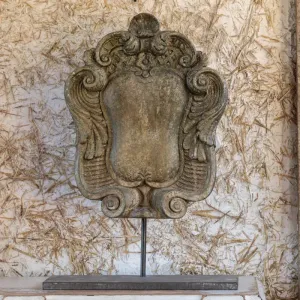 Beaux Art Crest dried flowers  