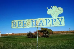 Bee Happy Garden Sign decorative plants  