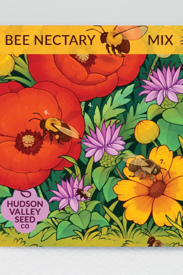 Bee Nectary Flower Mix Art Pack Seeds