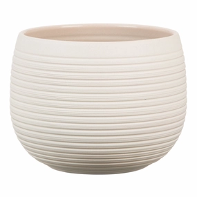 Beige Indoor Ceramic Cover Pot Cream Stone (744) tall green plant  